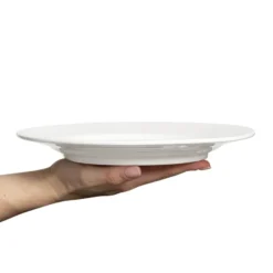 Basic lautanen 25 cm, Valkoinen