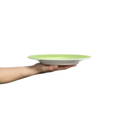 Basic lautanen 25 cm, Vihreä