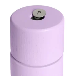 Bergen-maustemylly, Purple lilaq, 12 cm