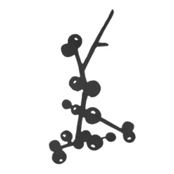 Berry pannunalunen, Musta