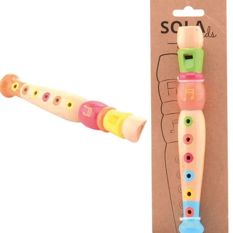 Flöjt Musikinstrument Leksak