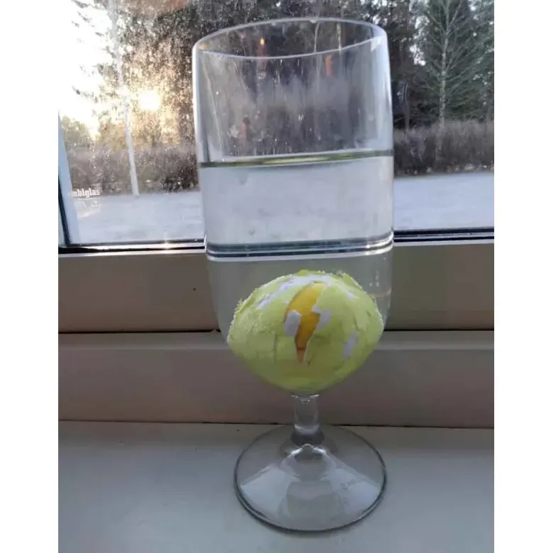 Ägg Kyckling Växande 6 cm