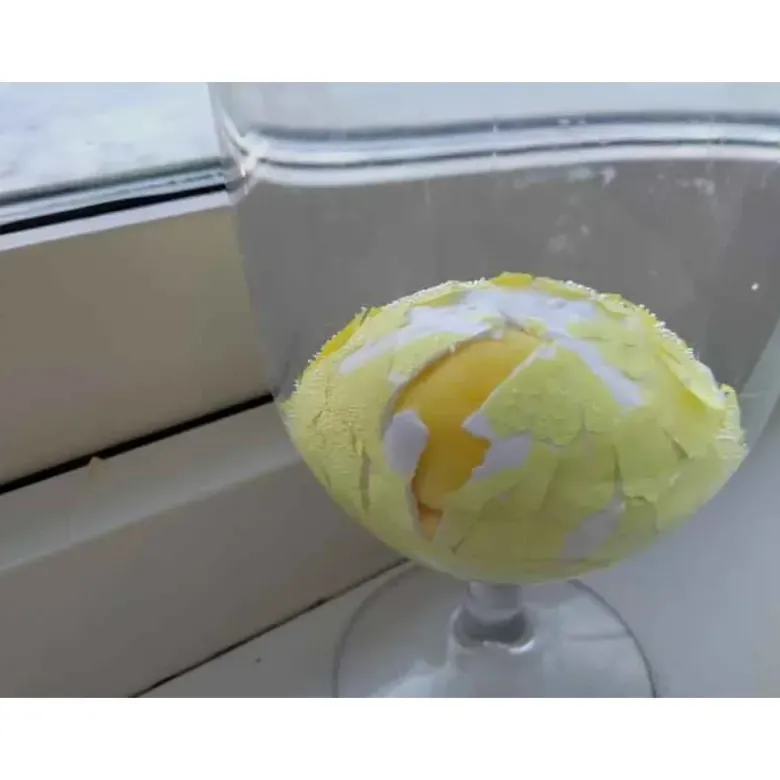Ägg Kyckling Växande 6 cm