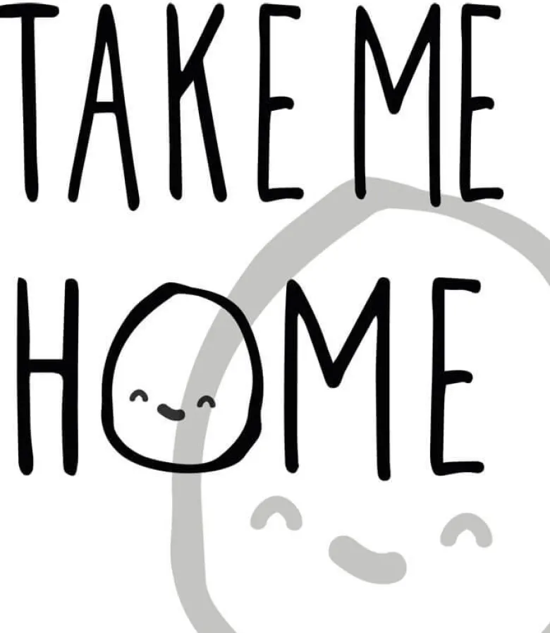 Leksakshund Brun och Vit Med Ljud Take Me Home