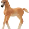 Schleich Arabhäst Föl, Arab Foal 13984