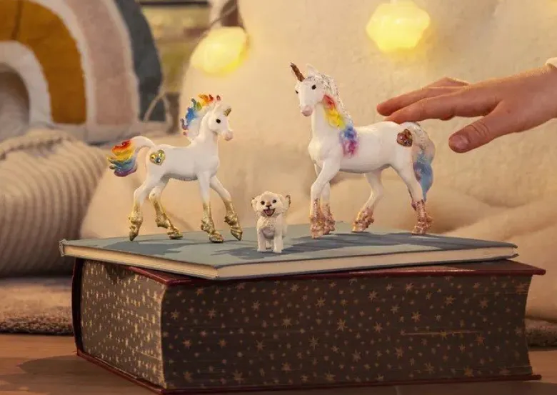 Schleich Bayala Magical Starter Set