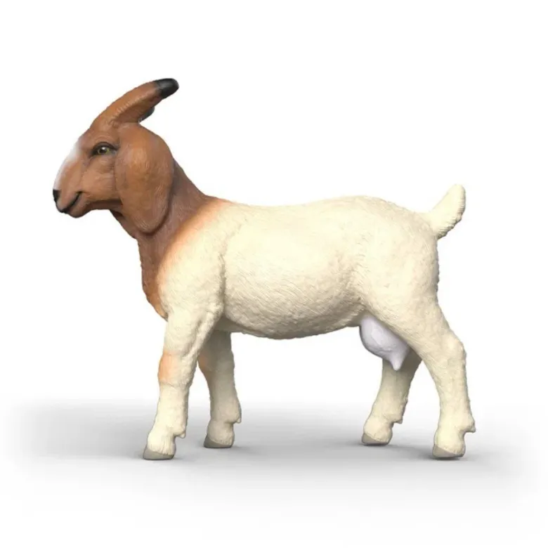 Schleich Boer Get 14929