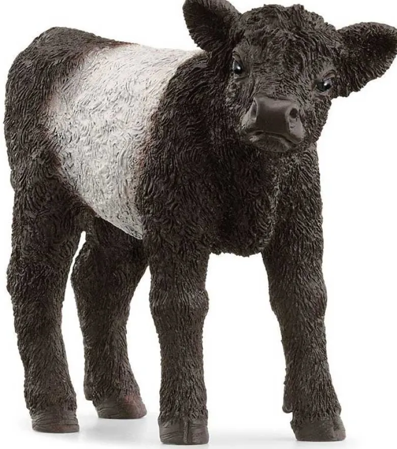 Schleich Galloway Kalv 13969