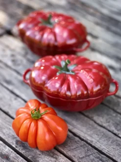 Staub tomaattipata kivitavaraa, 0,5 l, punainen